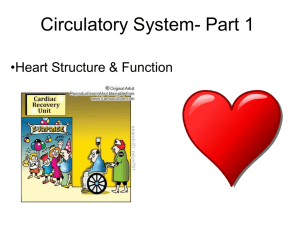 Circulatory System - School District 67 Okanagan Skaha