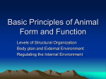 An Introduction to Animal Structure and Function