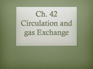 Ch. 42 Circulation and gas Exchange