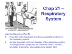Chap 21 – Respiratory System