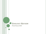 Zoology Review