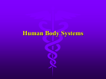 Human Body Systems - Mr. Smith’s Science Page