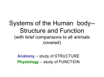Chapter 40 – Intro to Animal Structure and Function