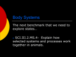Body Systems - Warren Consolidated Schools
