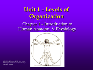 Unit 1 – Levels of Organization
