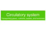 Circulatory system