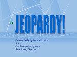 Jeopardy Cardiovascular and Respiratory Systems 2015