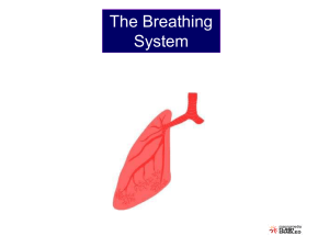 respiratory