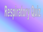 Respiratory System Jeopardy