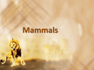 Mammals - Meade USD 226