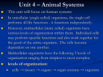 Unit 1 – Chemical Basis of Life