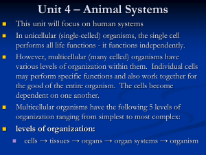 Unit 1 – Chemical Basis of Life