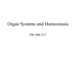 Organ Systems and Homeostasis