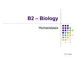 B2.7 Homeostasis