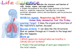 Respiration Power Point