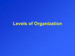 Levels of Organization