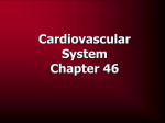 Cardiovascular System - Doral Academy Preparatory