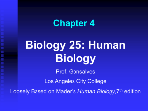 Chapter 4 - Los Angeles City College