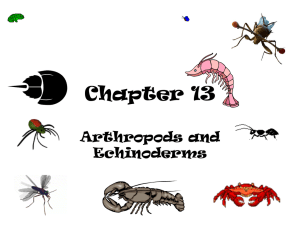 Arthropods - Cloudfront.net