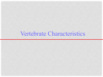 Vertebrate Characteristics