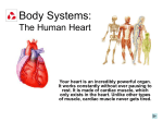 The Human Heart - SeniorScienceKGS