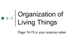Organization of Living Things