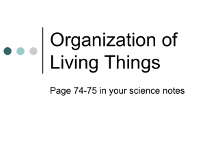 Organization of Living Things