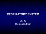 Respiratory System And Excretion System