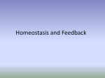 5a - homeostasis and feedback