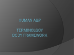 HumanAnatomyPhysiologyBodyStructureTerminologyPresentation