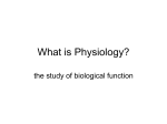 P215 - Basic Human Physiology