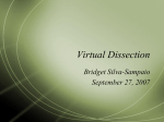 Virtual Dissection