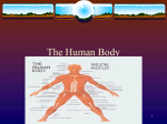 UNIT 10- The Human Body