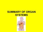 SUMMARY OF ORGAN SYSTEMS