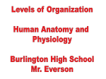 PowerPoint Presentation - Burlington Area Schools