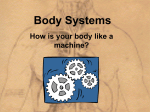 Body Systems - Cloudfront.net