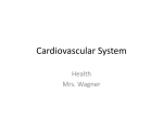 Cardiovascular System - Fort Thomas Independent Schools