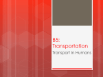 human transportation - HIS-IGSci-Bio