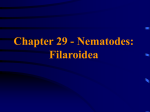 Chapter 29 - Nematodes: Filaroidea