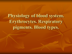 Physiology of blood. Erythrocytes.Respiratory pigments. Blood types