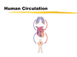 Circulatory System Power Point