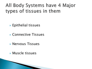 Excretory notes