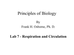 Lab07RespirationAndCirculation