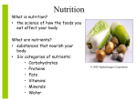 TPJ 3C1 Nutrition - the six nutrients