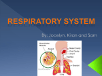 Respiratory System - Bingham-5th-2012