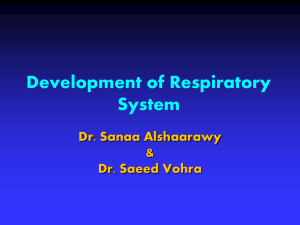 Development of Respiratory System