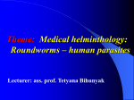 13. Medical helminthology Roundworms
