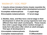 Amphibians and Mammals