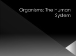 Organismsc - ClarissaGBiology2010