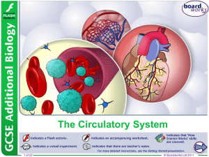 The Circulatory System